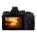 Фотоаппарат Olympus OM-D E-M1 Body черный (V207010BE000)